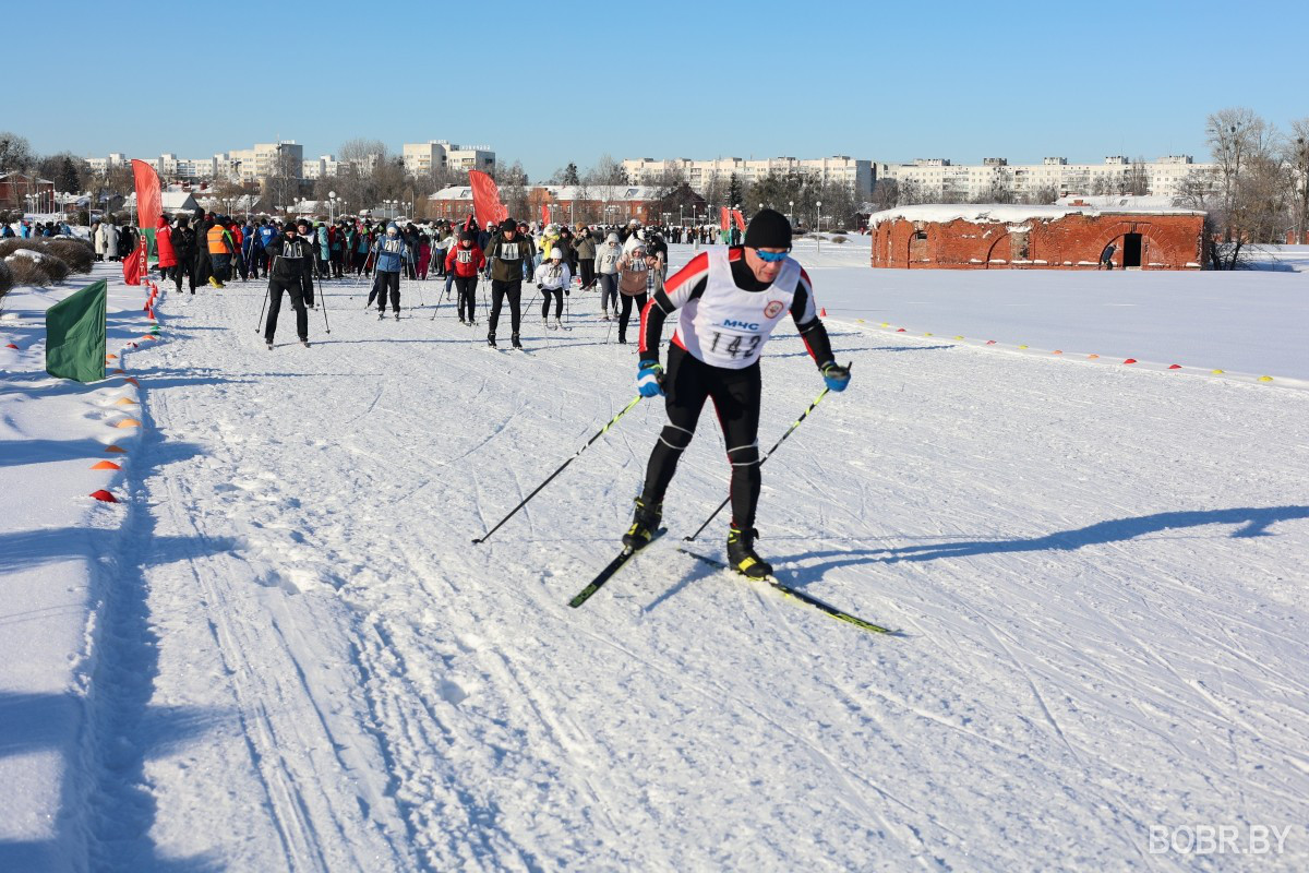 Бобруйская лыжня