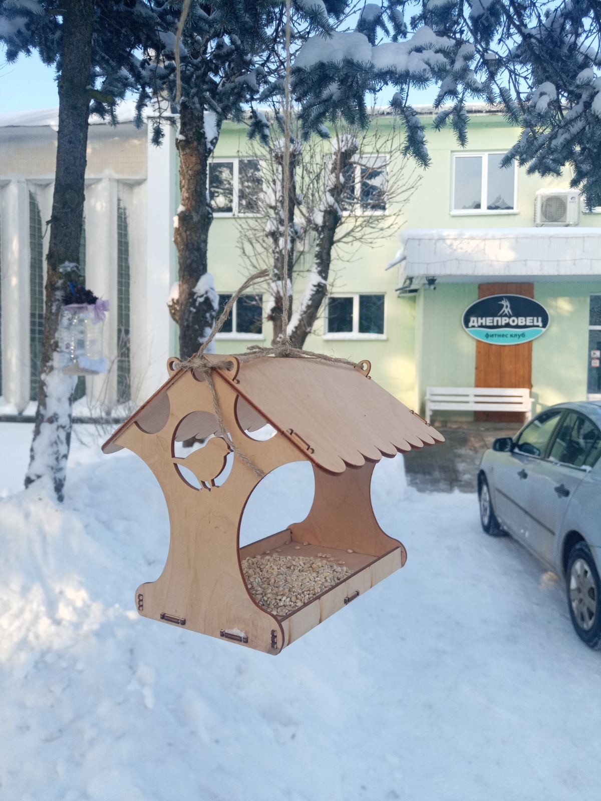 Юные айкидоки помогли птицам