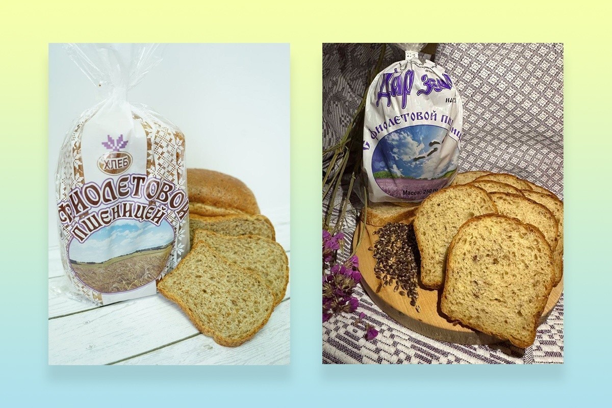 Новинки предприятий 2026