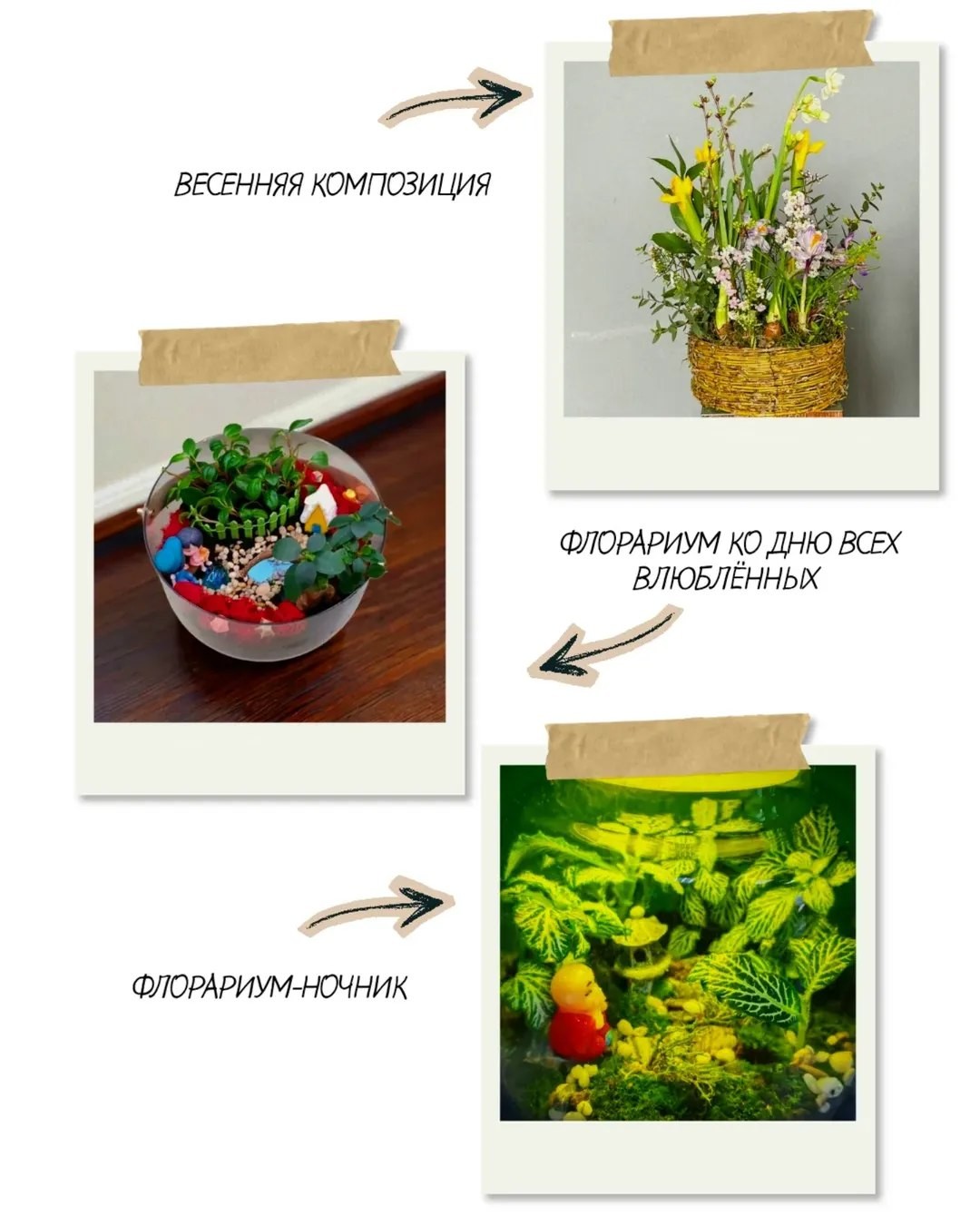 Мастер-класс по созданию флорариума