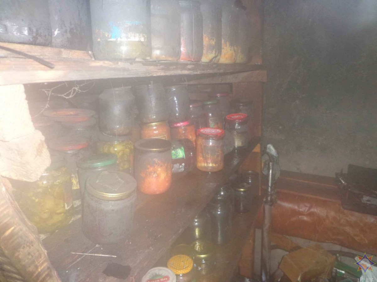 МЧС спасли пятерых из задымленного дома на Горелика