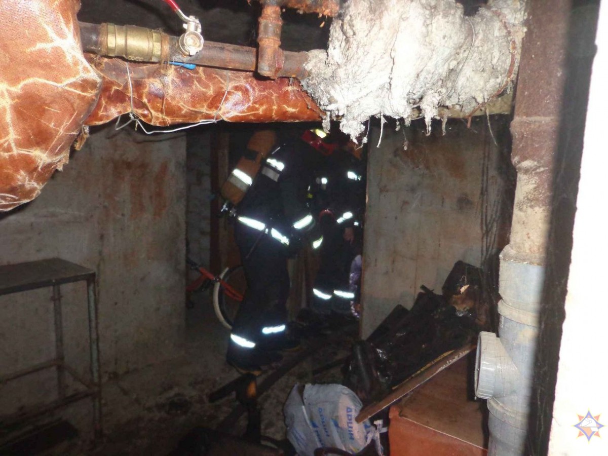 МЧС спасли пятерых из задымленного дома на Горелика