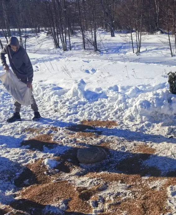воспитаники лесничества Бобруйск