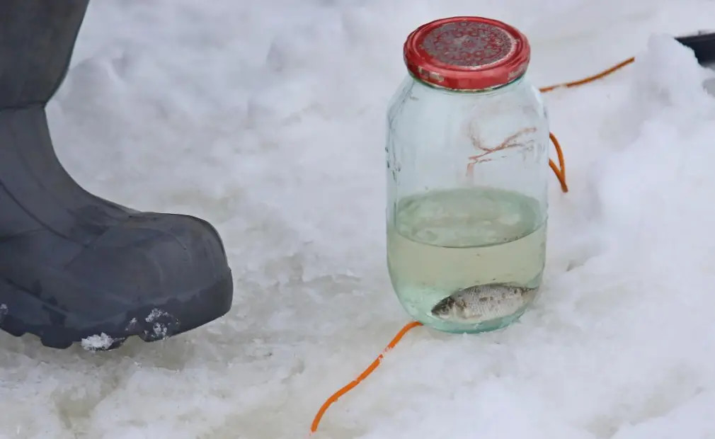 МЧС совместно с Бобруйским ГРОЧС провели профилактические рейды МЧС совместно с Бобруйским ГРОЧС провели профилактические рейды