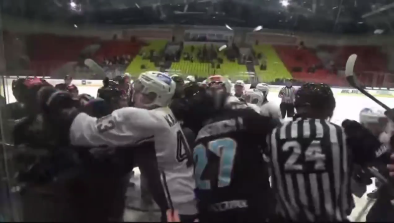 Массовая драка вспыхнула между &laquo;Динамо-Шинником&raquo; и питерским &laquo;Динамо&raquo;