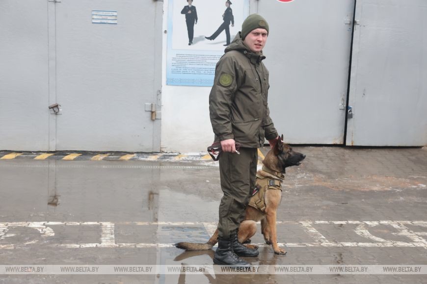 Как несут службу кинологи в Бобруйском отделе Департамента охраны