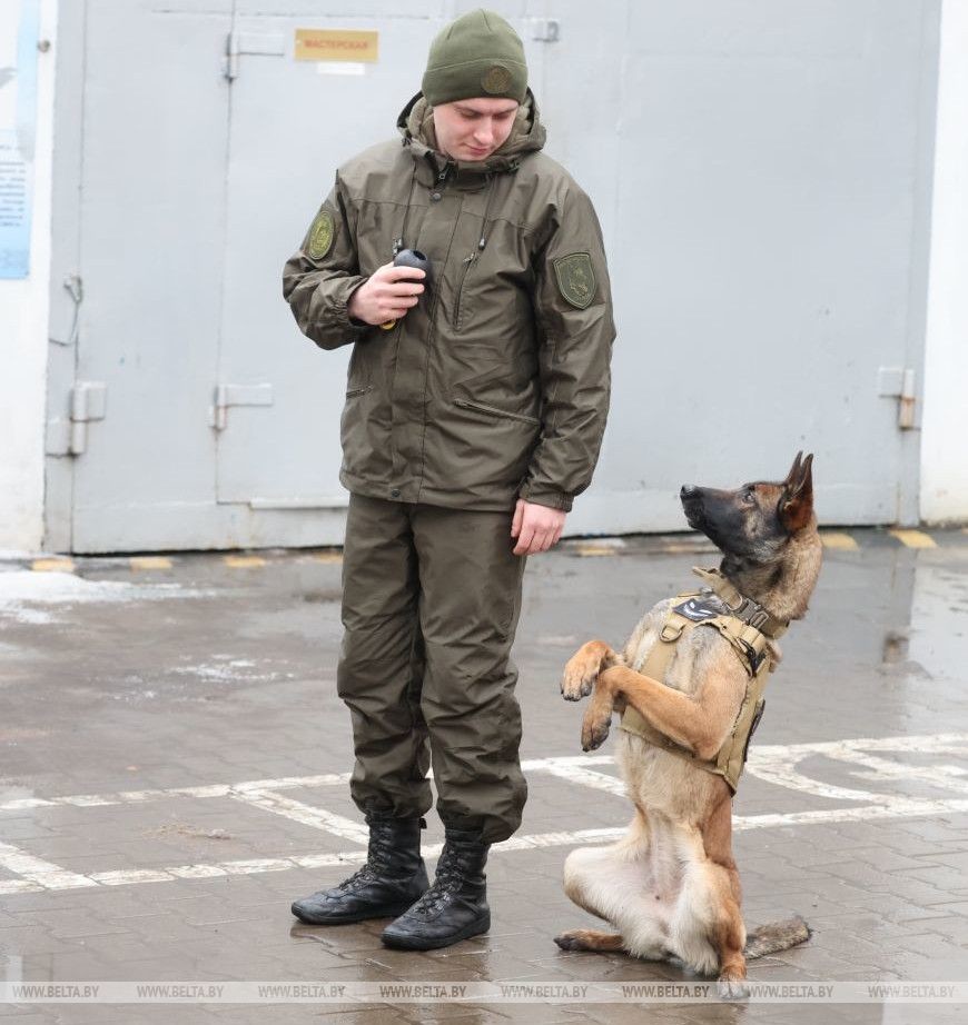 Как несут службу кинологи в Бобруйском отделе Департамента охраны
