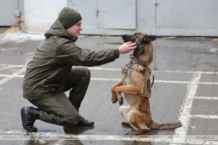 Как несут службу кинологи в Бобруйском отделе Департамента охраны