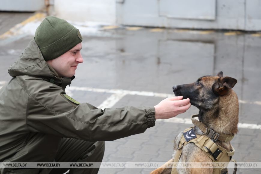 Как несут службу кинологи в Бобруйском отделе Департамента охраны