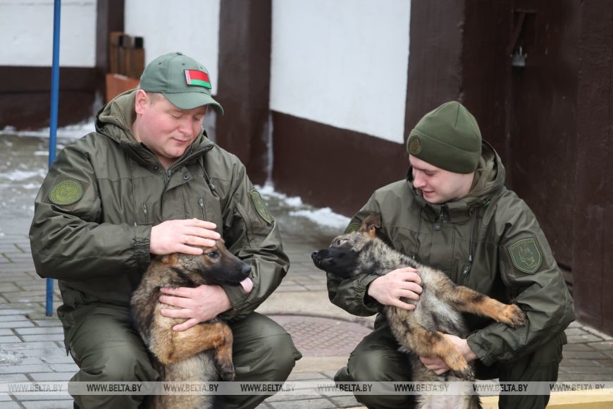 Как несут службу кинологи в Бобруйском отделе Департамента охраны