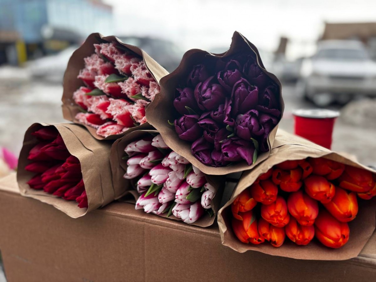 На контроле продажа цветов. В Бобруйске 17 площадок для продажи живых цветов к 8 Марта