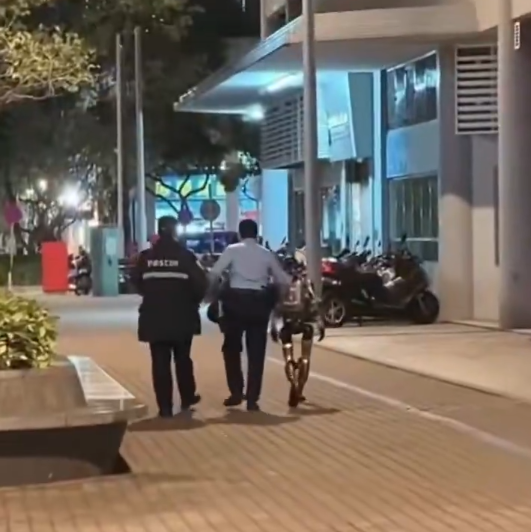 Нападение робота Нападение робота