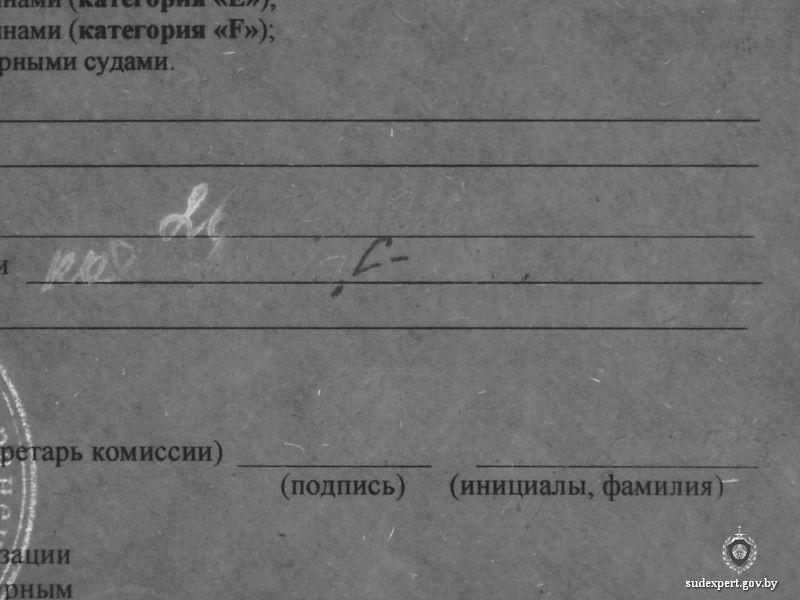 В Бобруйске раскрыта схема подделки документов для получения льгот и водительских прав В Бобруйске раскрыта схема подделки документов для получения льгот и водительских прав