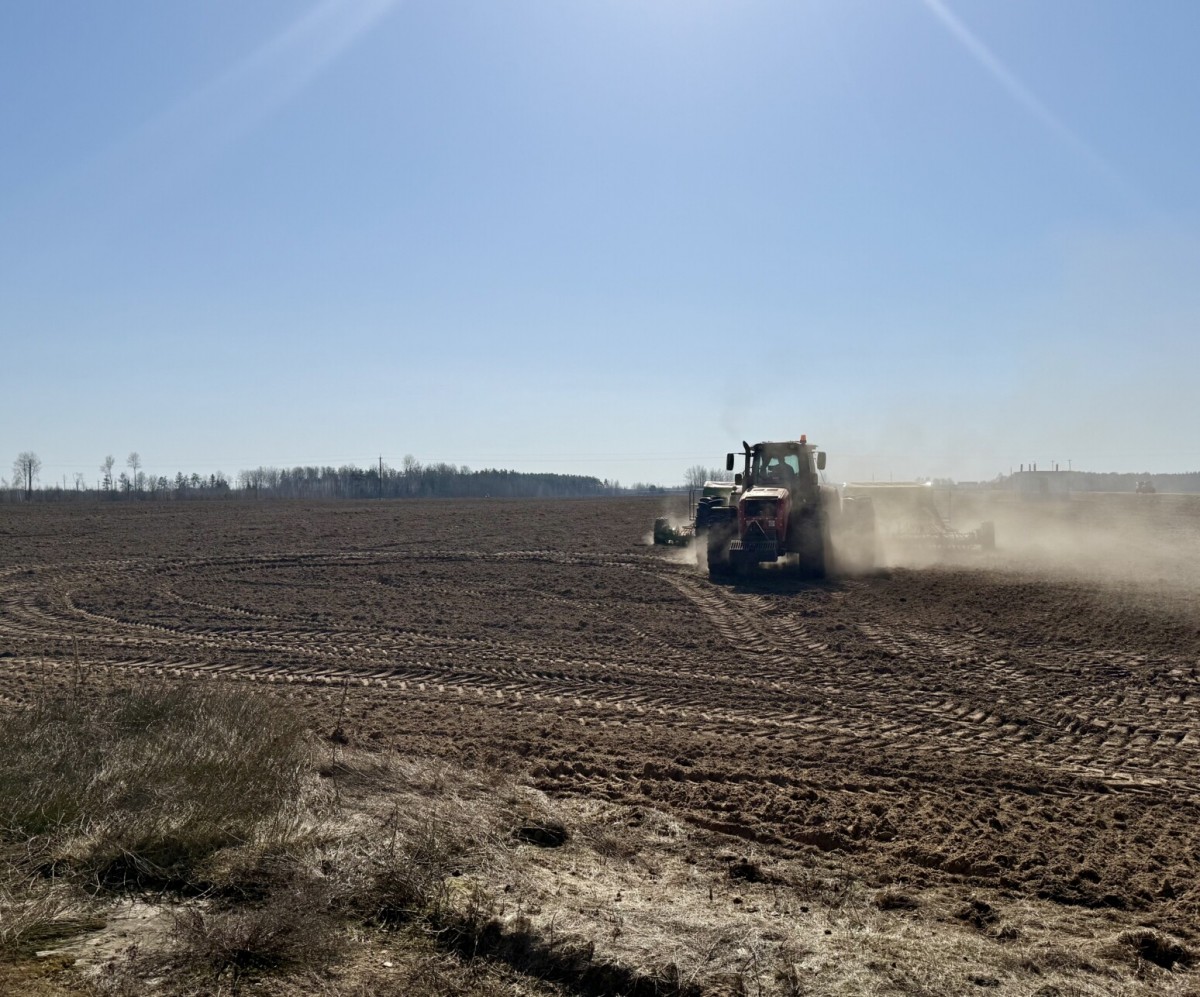 Как аграрии Бобруйского района начали посевную