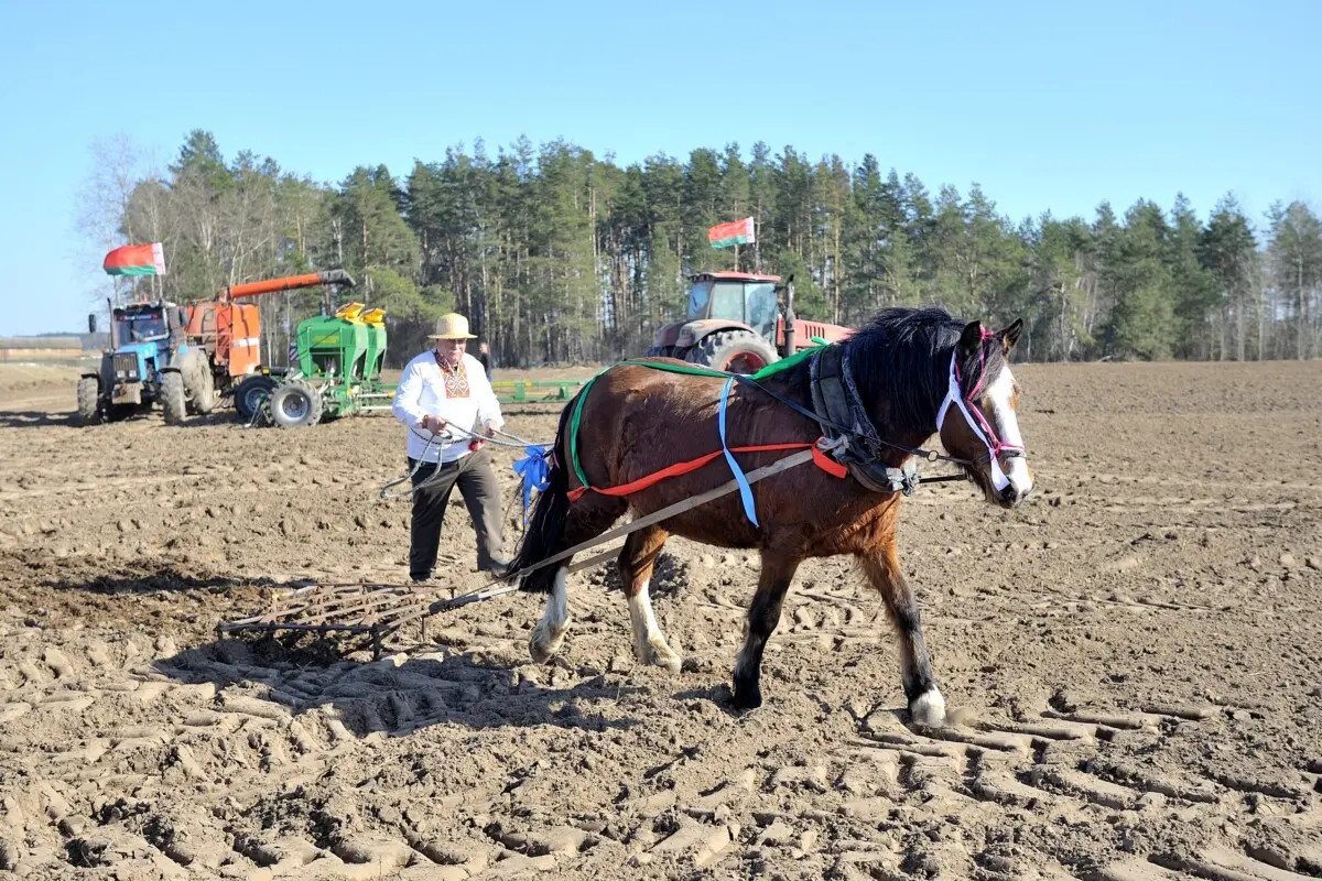 На Бобруйщине дан массовый старт посевной