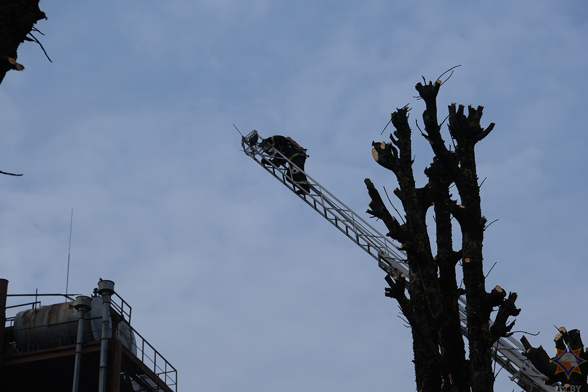 Пожар на заводе биотехнологий: учения определили готовность спасателей Бобруйска