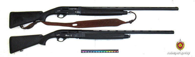 Баллистическая экспертиза подтвердила причастность бобруйчанина к убийству рыси