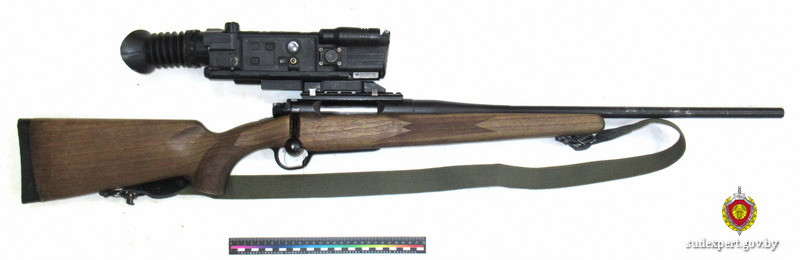 Баллистическая экспертиза подтвердила причастность бобруйчанина к убийству рыси