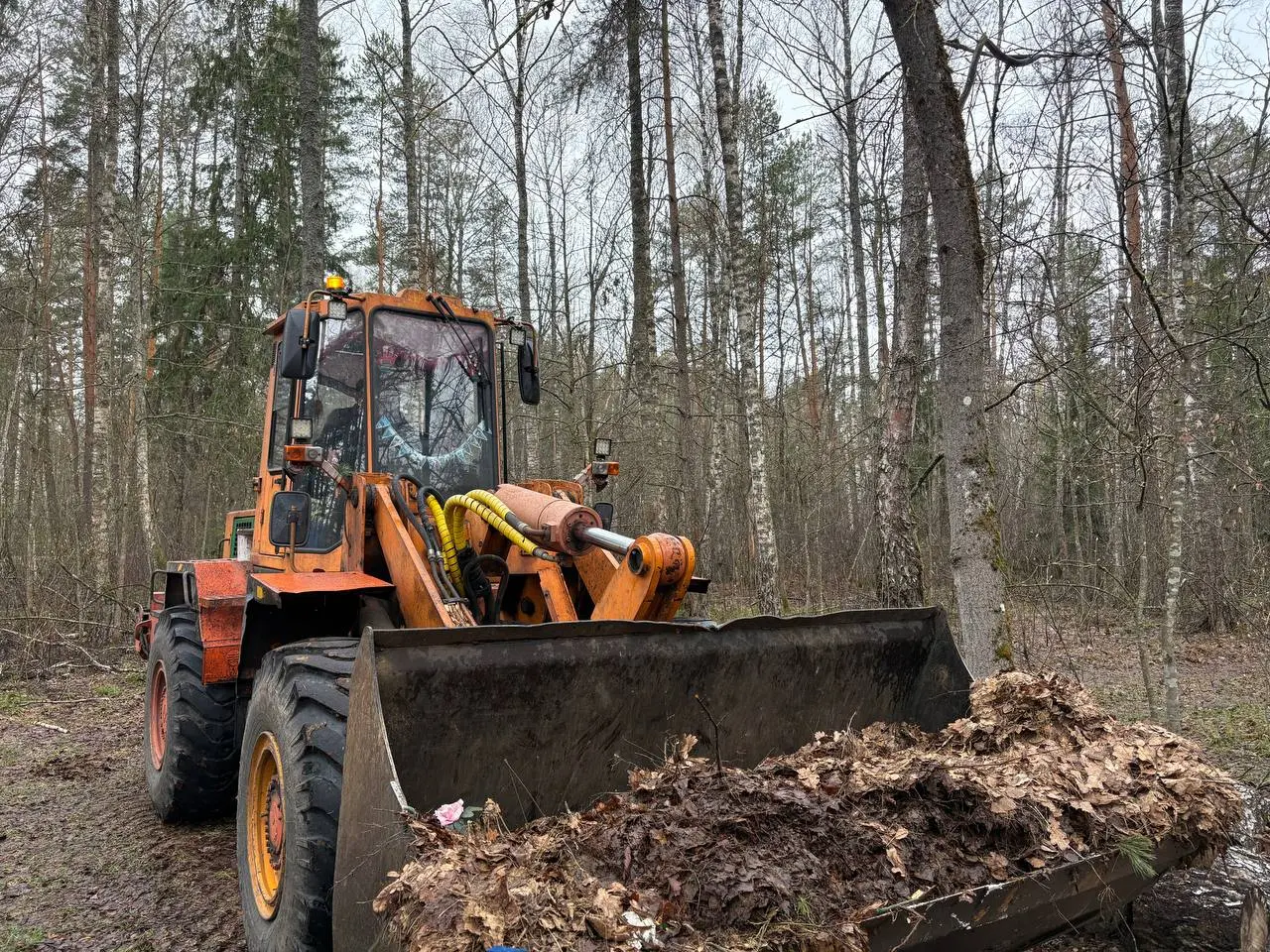 По всей Бобруйщине кипят работы по благоустройству кладбищ