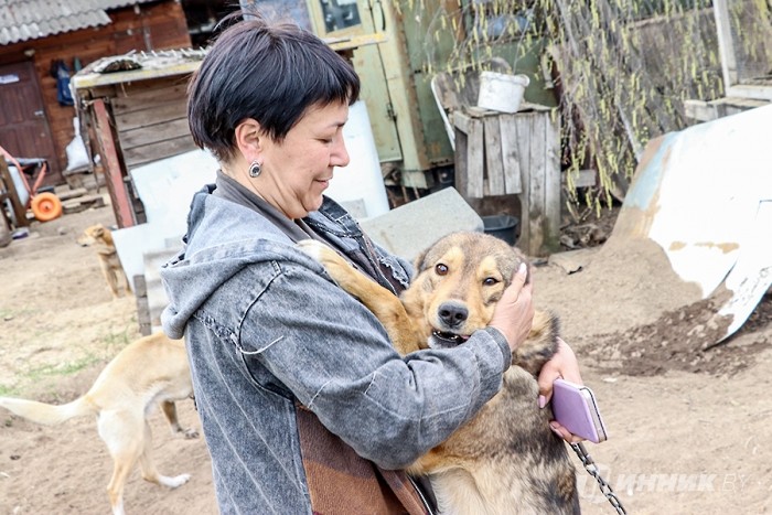 Маленькой помощи не бывает: в Бобруйске активисты «Белшины» помогли бездомным животным Маленькой помощи не бывает: в Бобруйске активисты «Белшины» помогли бездомным животным