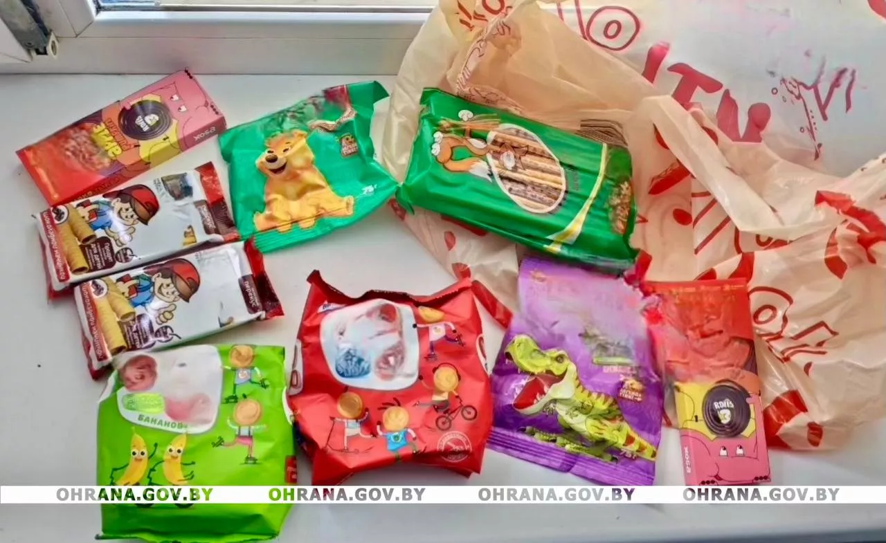 Завхоз одной из средних школ Бобруйска украла продукты из кладовой на 80 рублей Завхоз одной из средних школ Бобруйска украла продукты из кладовой на 80 рублей