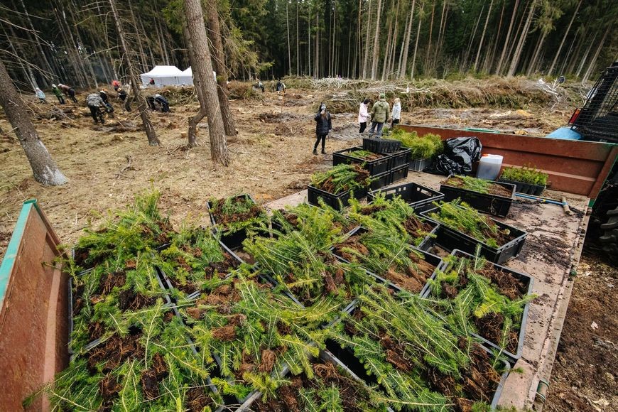 В Бобруйске в рамках акции &laquo;Эко Движ. Зеленый сезон&raquo; собрали больше всего старых гаджетов