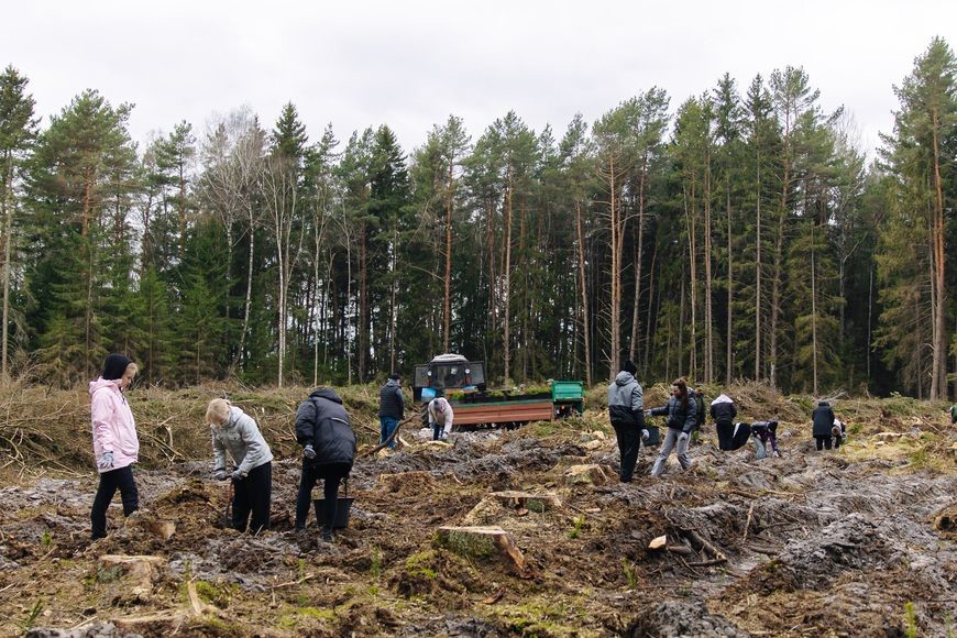 В Бобруйске в рамках акции &laquo;Эко Движ. Зеленый сезон&raquo; собрали больше всего старых гаджетов