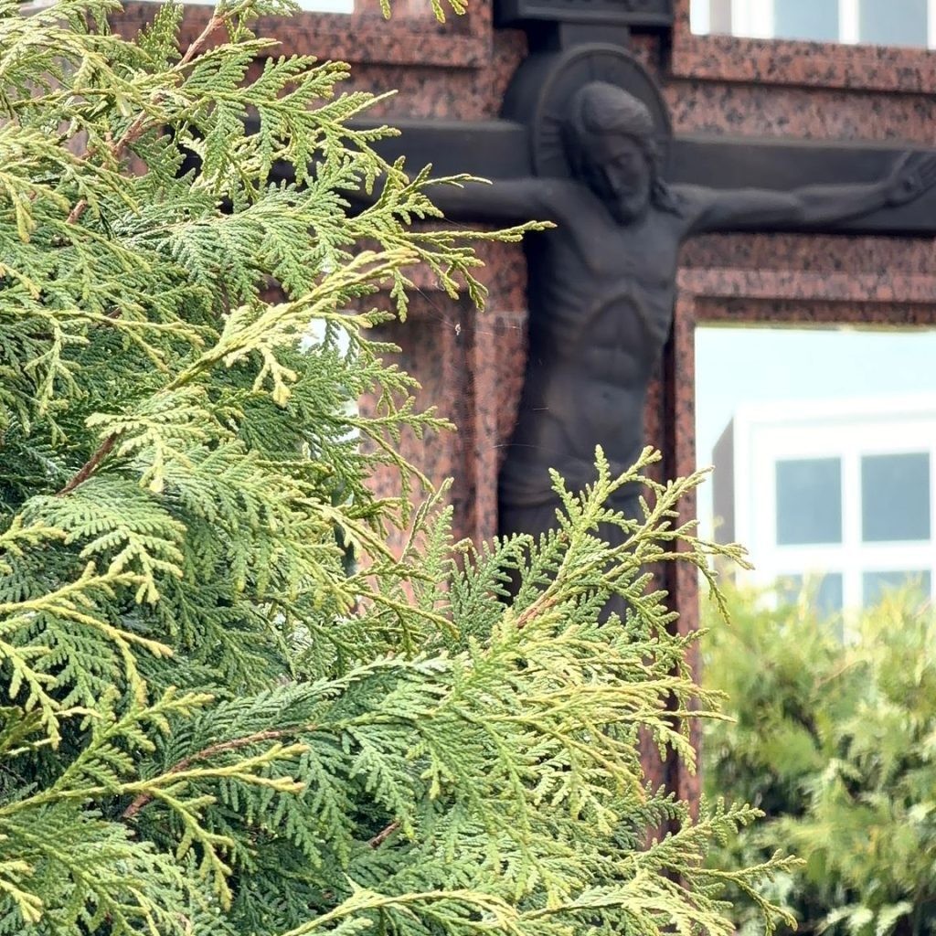 В бобруйском женском монастыре почтили память иконы &laquo;Неувядаемый Цвет&raquo; и преподобной Анастасии Киевской