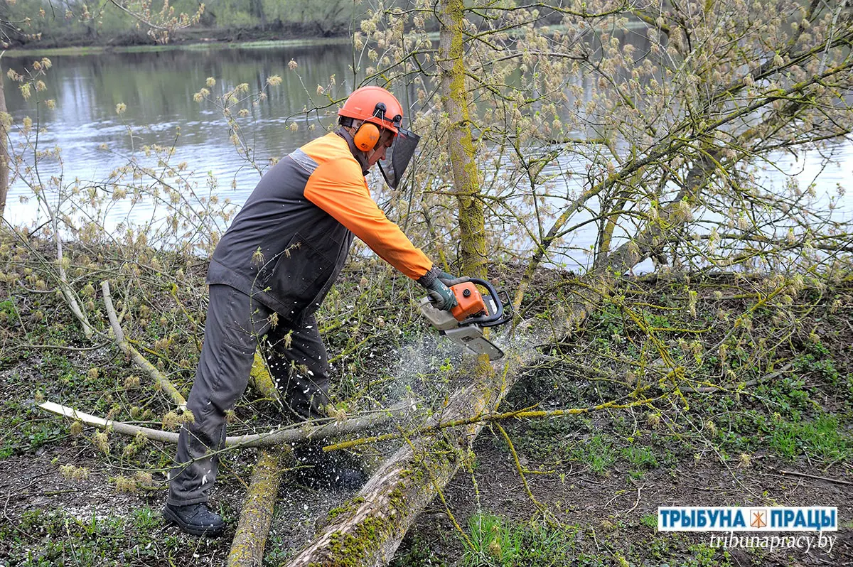 В Бобруйском районе благоустроили прибрежную зону в деревне Щатково