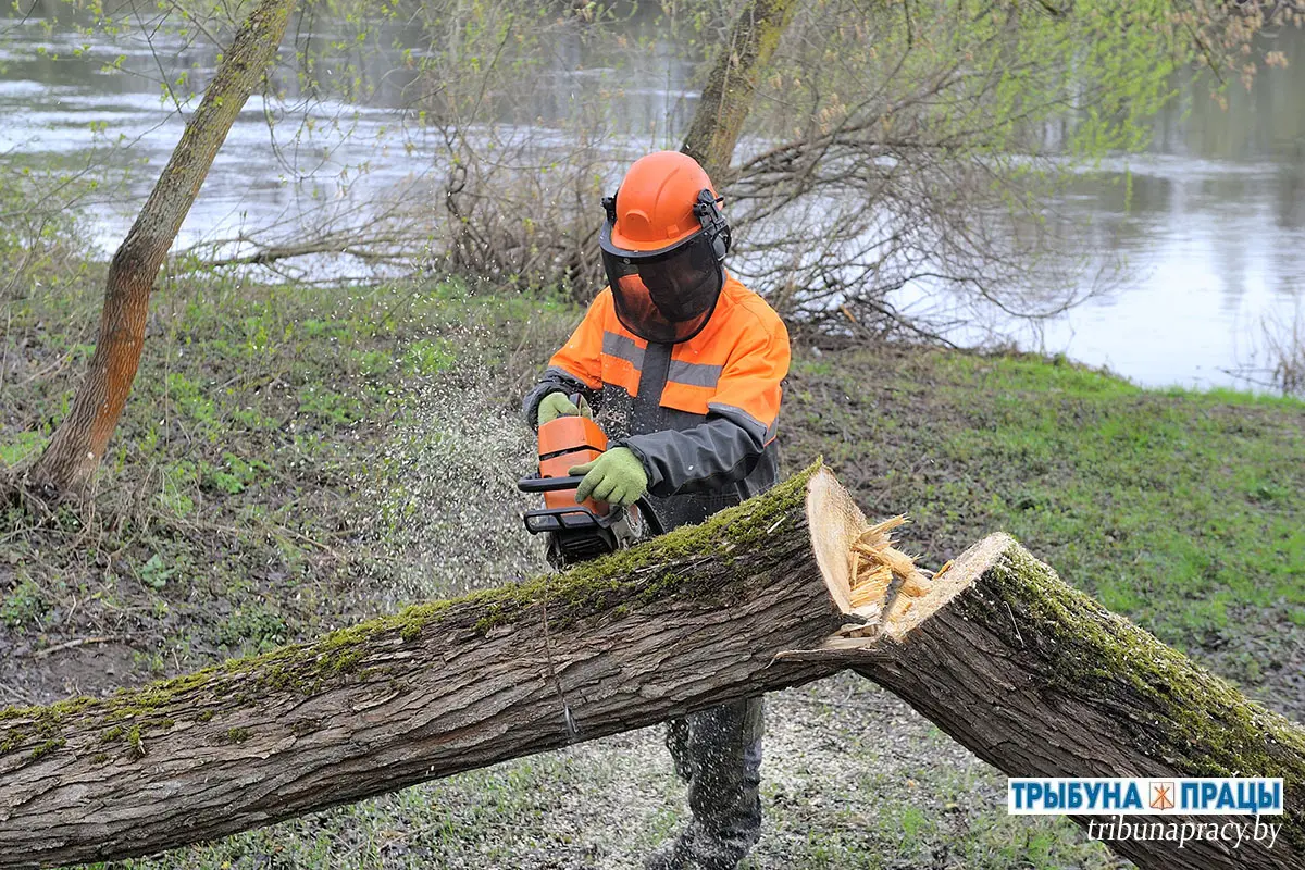 В Бобруйском районе благоустроили прибрежную зону в деревне Щатково