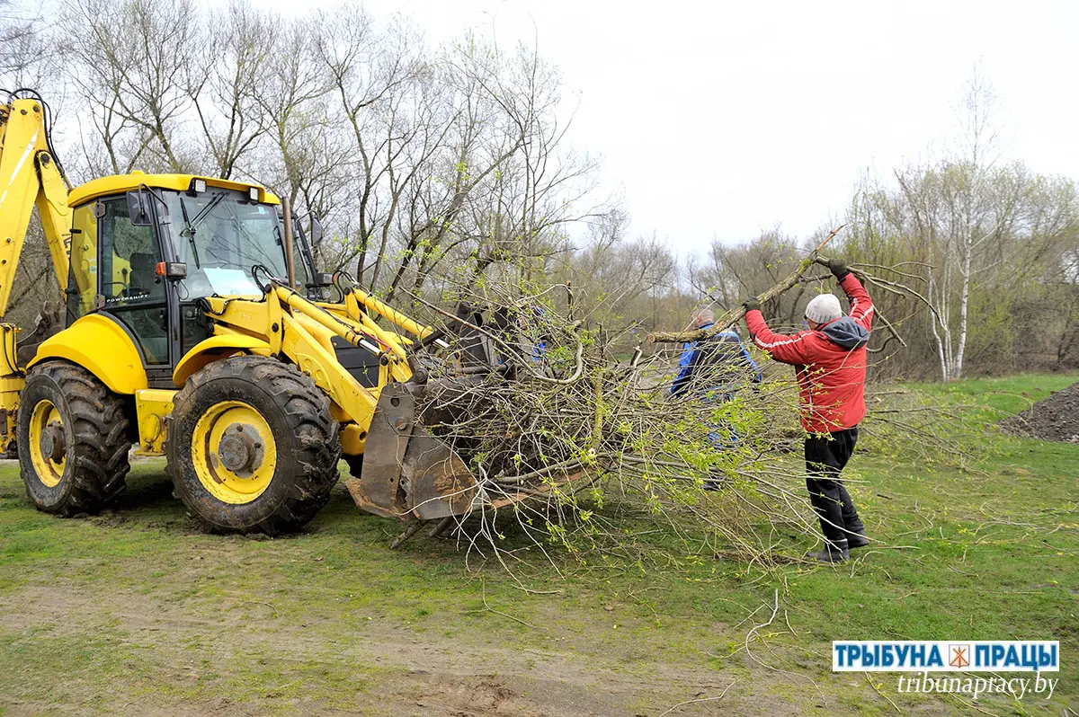 В Бобруйском районе благоустроили прибрежную зону в деревне Щатково