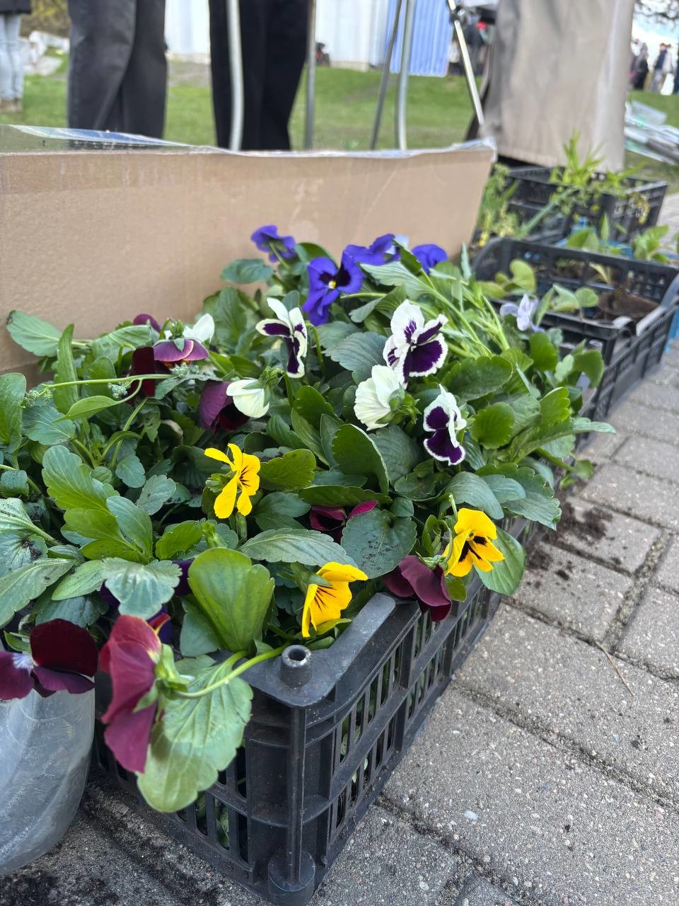 В Бобруйске прошла акция &laquo;Радуница без пластика&raquo;: как сохранить традиции, не нанося вред экологии