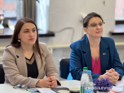 Представители Бобруйского горисполкома обсудили с могилёвскими коллегами актуальные вопросы предпринимательства