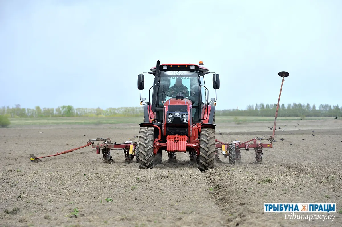 Не сбавляя темпов: на Бобруйщине продолжается массовый сев кукурузы 