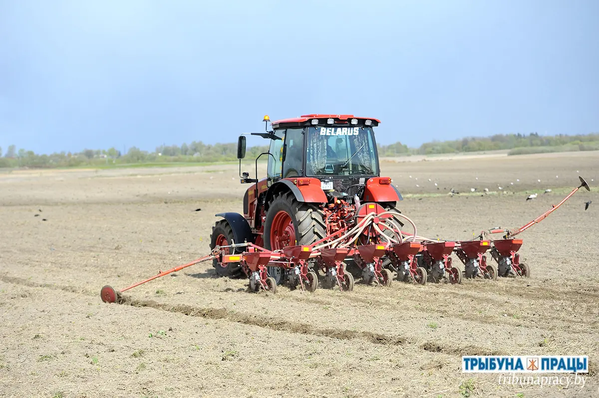 Не сбавляя темпов: на Бобруйщине продолжается массовый сев кукурузы 