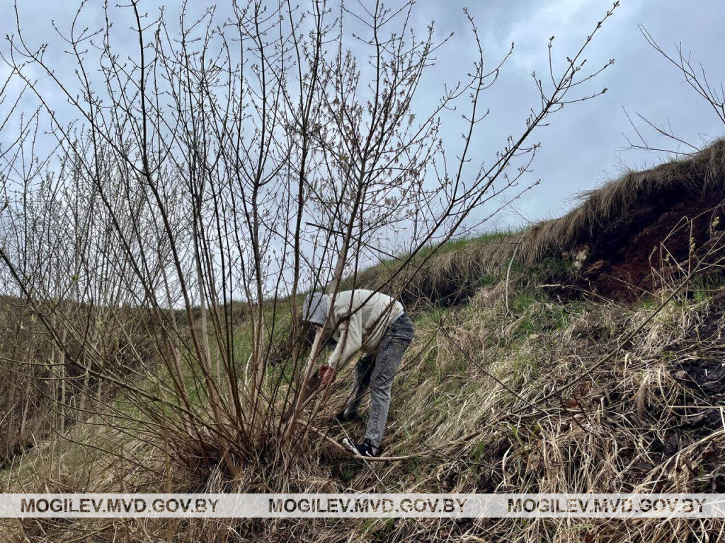 &laquo;Дать шанс оступившимся&raquo;: бобруйские правоохранители активно содействуют трудоустройству уязвимой категории граждан