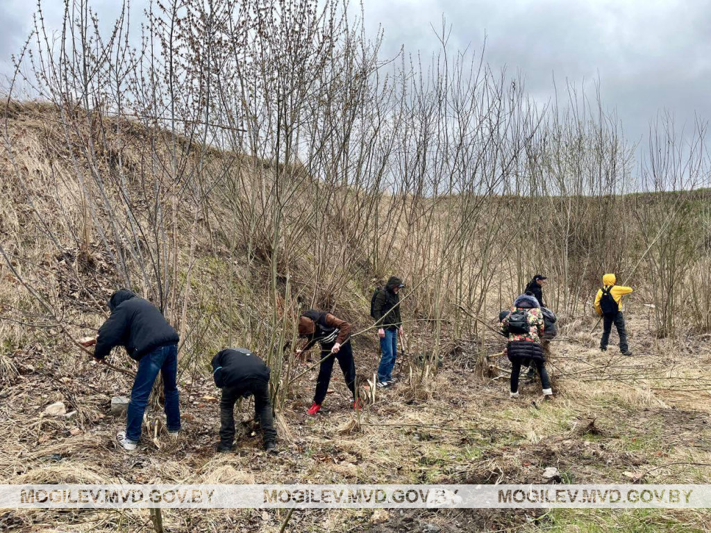 &laquo;Дать шанс оступившимся&raquo;: бобруйские правоохранители активно содействуют трудоустройству уязвимой категории граждан