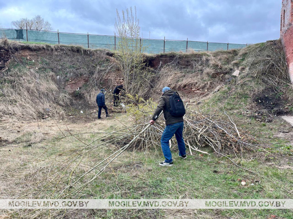 &laquo;Дать шанс оступившимся&raquo;: бобруйские правоохранители активно содействуют трудоустройству уязвимой категории граждан