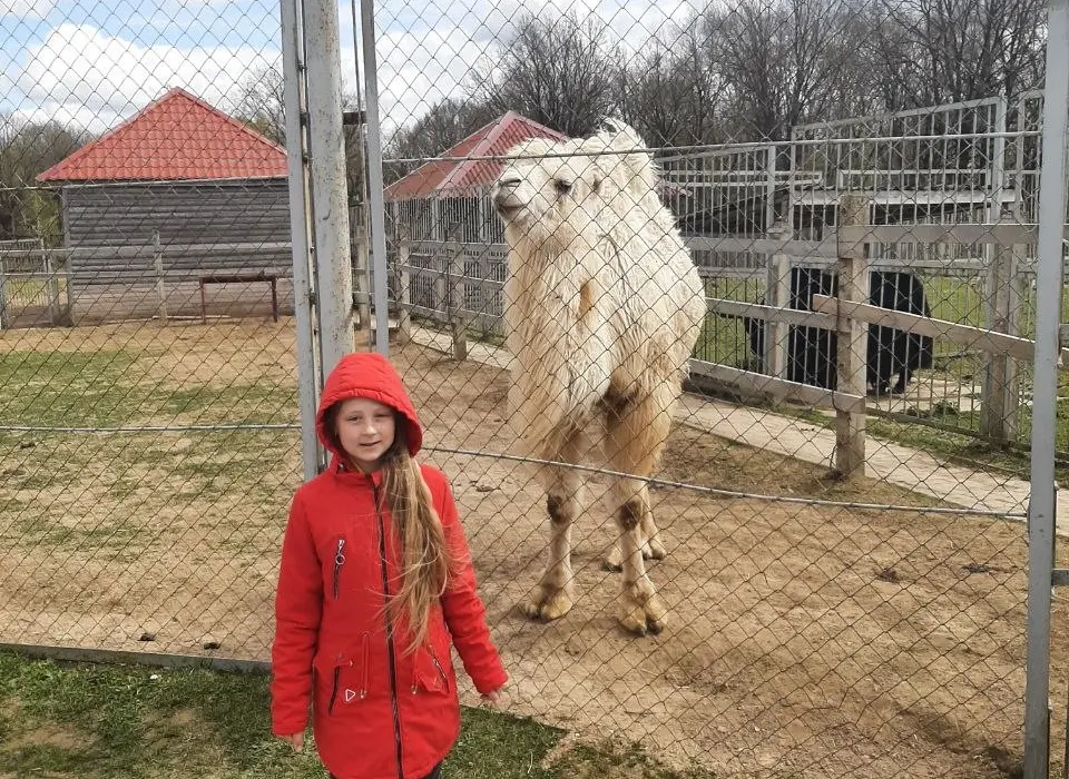 Юная цимбалистка бобруйской районной школы искусств Заряна Хаванская стала лауреатом конкурсов в Могилёве и Ставрополье
