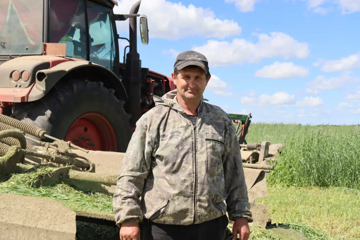 У Бабруйскім раёне філіял &laquo;Варатынь&raquo; актыўна нарыхтоўвае кармы для жывёлагадоўлі