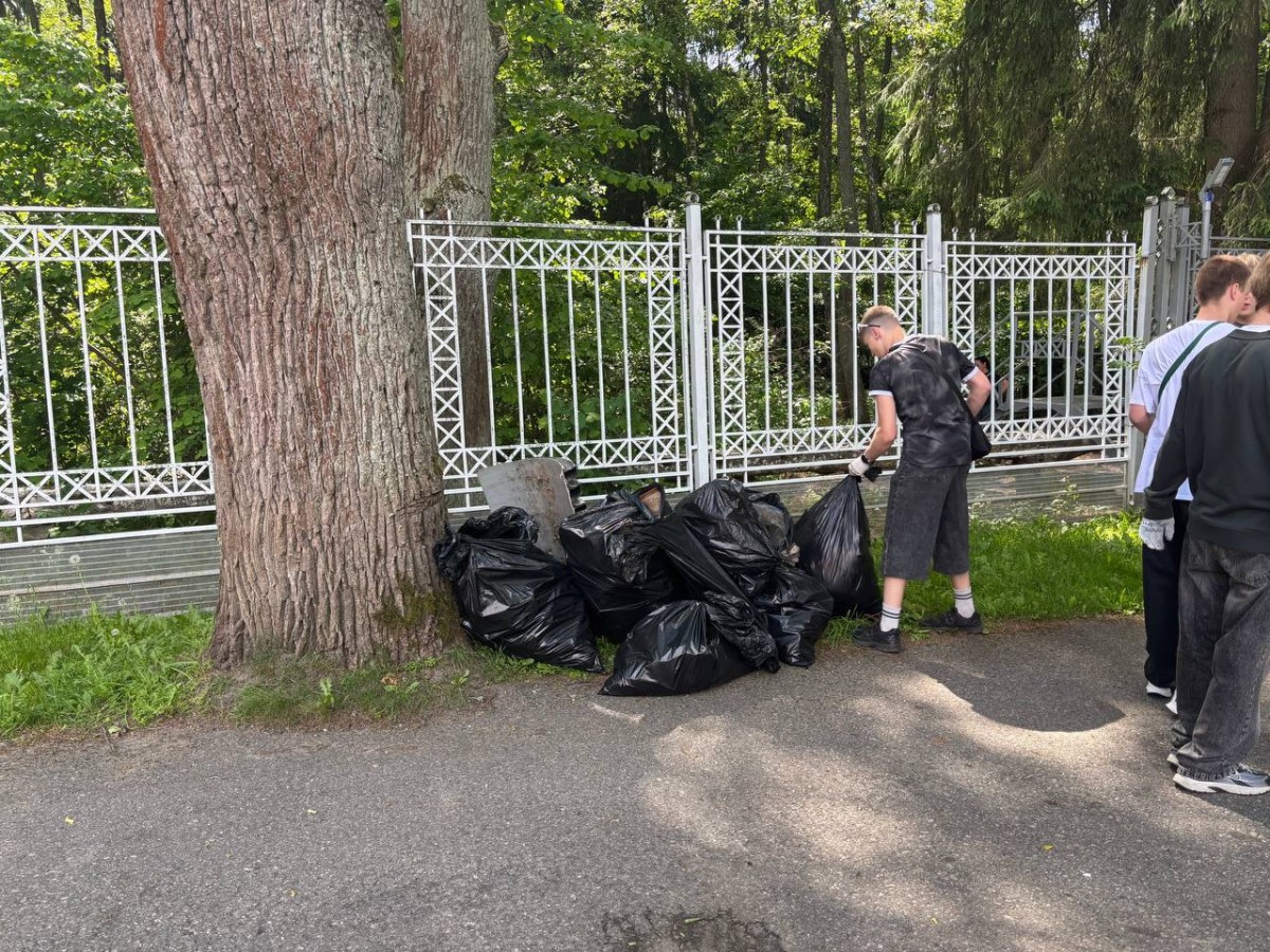20 мешков мусора и три шины: итоги экологического забега в Бобруйске