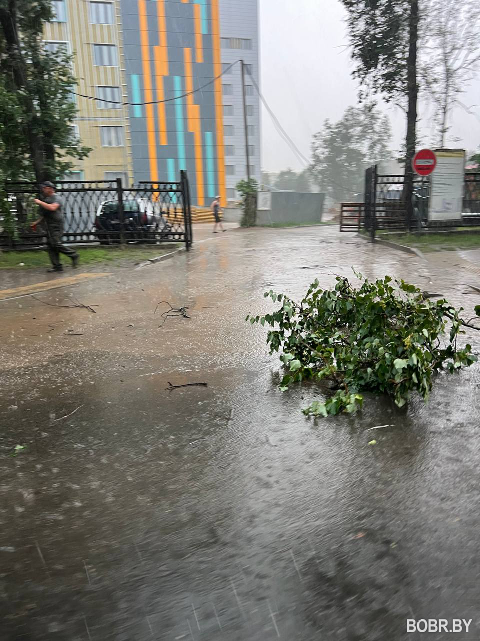 Посмотрели на последствия непогоды в Бобруйске