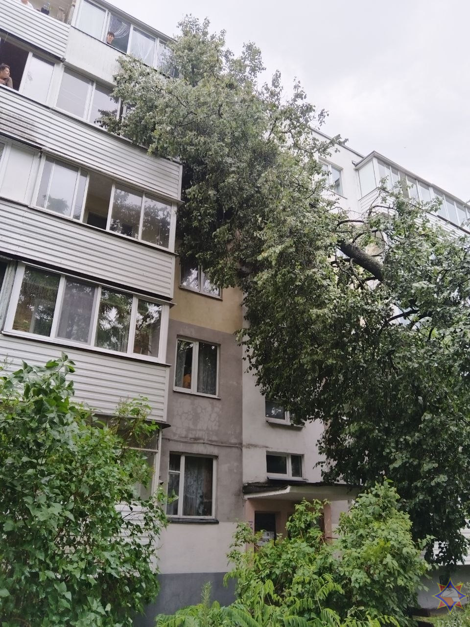 На Бобруйщине спасатели ликвидировали последствия урагана