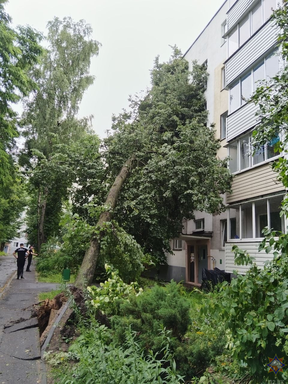 На Бобруйщине спасатели ликвидировали последствия урагана