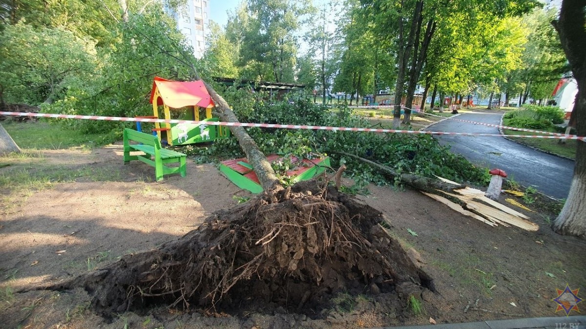 На Бобруйщине спасатели ликвидировали последствия урагана