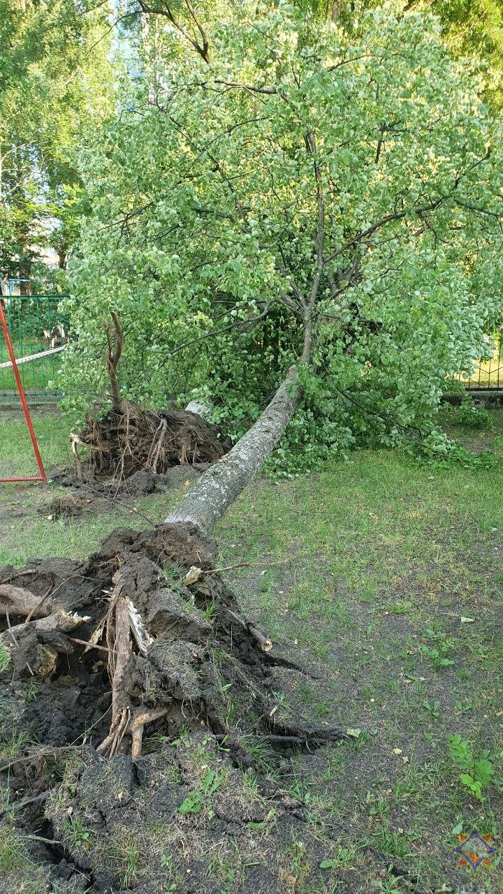 На Бобруйщине спасатели ликвидировали последствия урагана