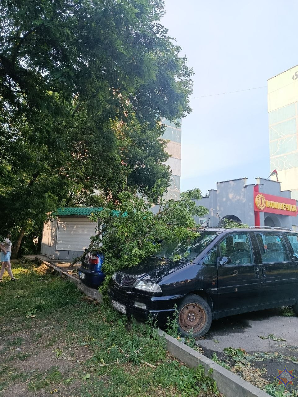 На Бобруйщине спасатели ликвидировали последствия урагана