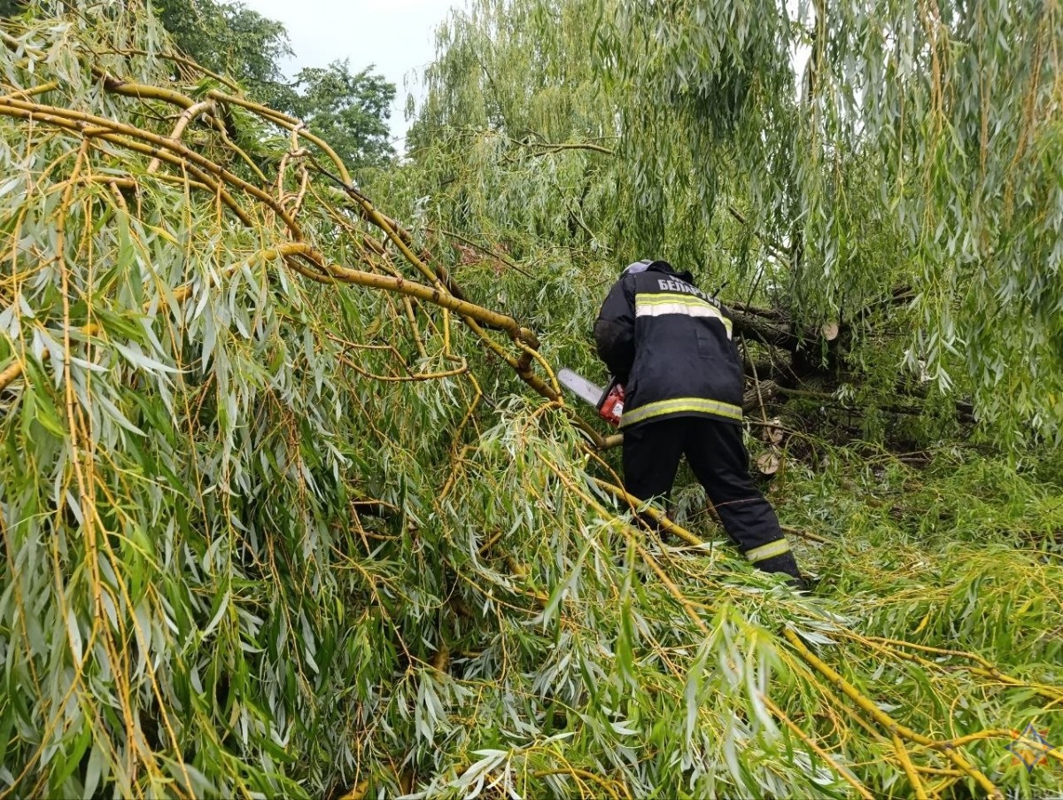 На Бобруйщине спасатели ликвидировали последствия урагана
