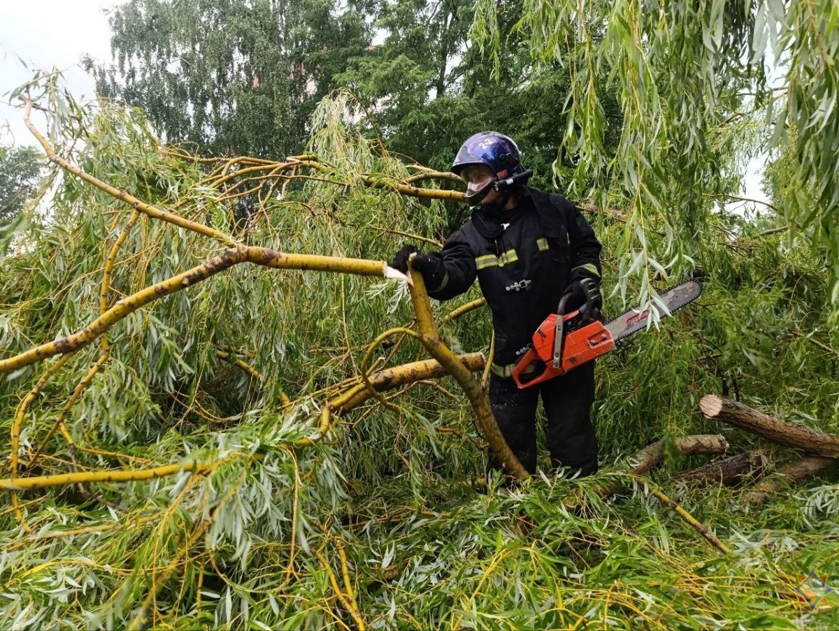 На Бобруйщине спасатели ликвидировали последствия урагана
