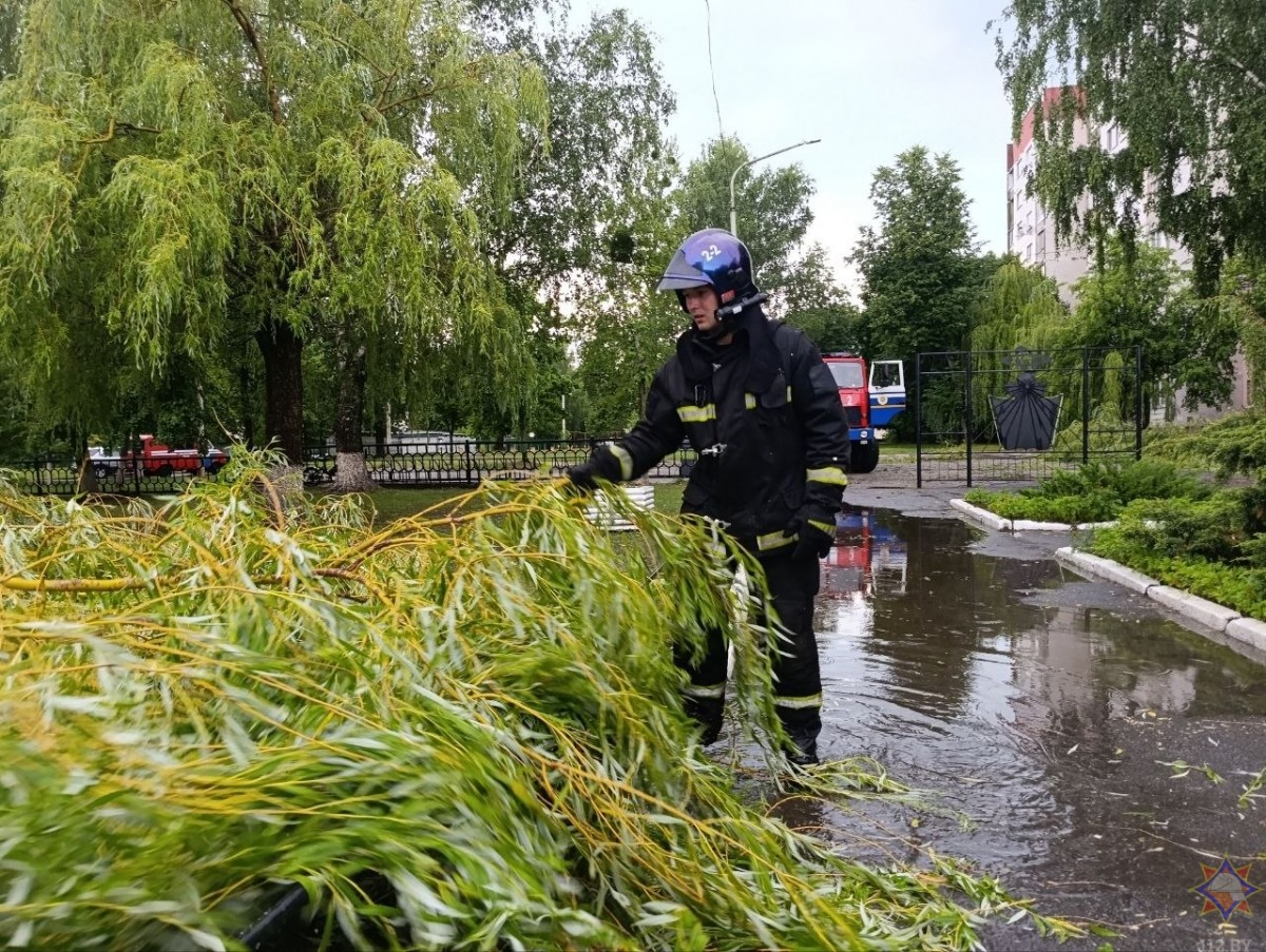 На Бобруйщине спасатели ликвидировали последствия урагана